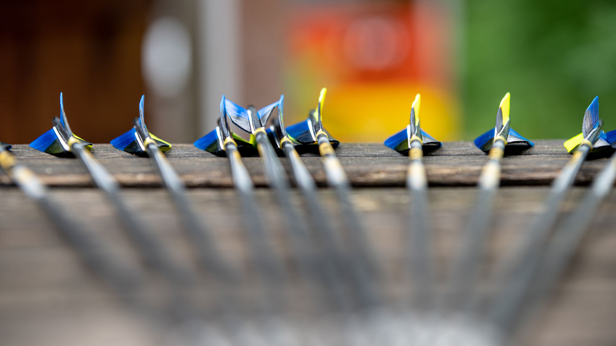 Bogensport Pottenbrunn