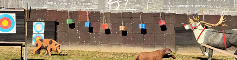 Weihnachtsaktion bis -36%